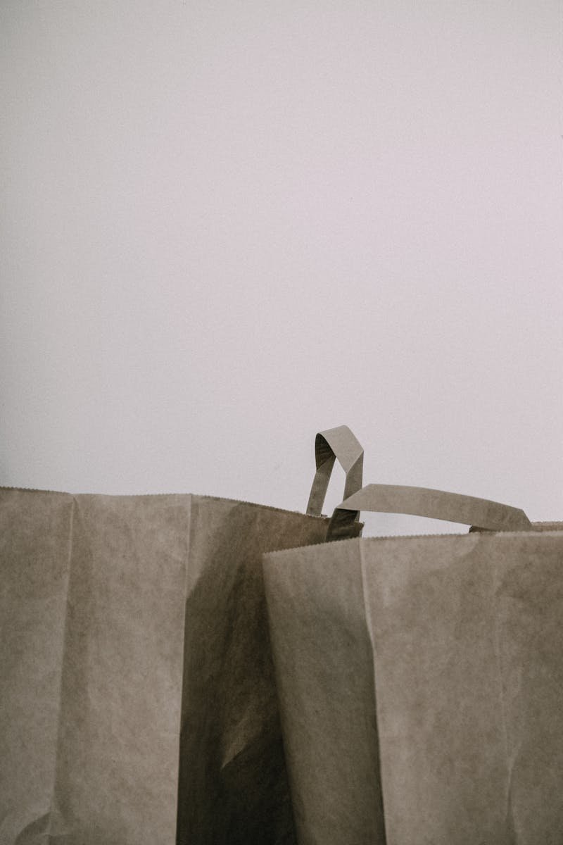 Plain twisted handle paper bags